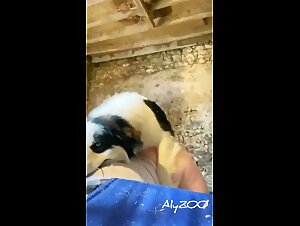 An intimate relationship between wife and dog