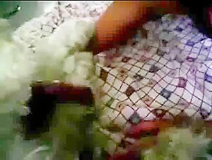 Dog bestiality sex videos