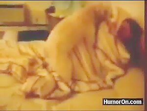 Discover our selection of bestial sex videos with dogs