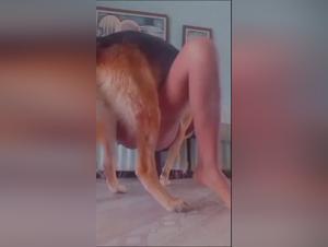 Animalidad incontrolable: El ardor de una mujer y un perro