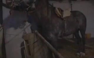 Penetracion animal profunda: MILF recibe creampie