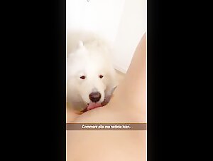 Exclusive Zoophilia Video: Extreme Sex with Dog
