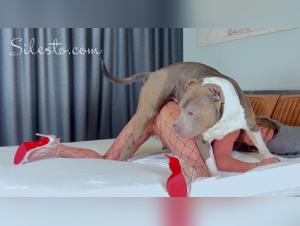 High ohne Grenzen: Ein Hund packt eine Frau wahrend eines Libertine-Abends