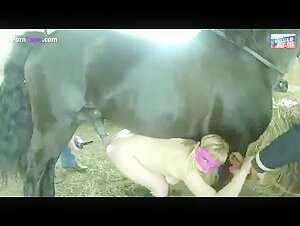 Bestiality and Extreme Sex Videos