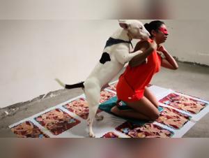 Animal fuck, beurette plays with her dog: zoo porn videos
