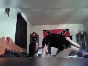 Dépassez les Tabous: Vidéos de Bestialisme Intense et Décadente