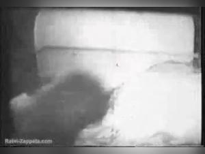 Part 2: One Woman, One Dog, One Insatiable Obsession