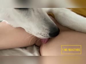 sluts and dogs: a perverse and sensual union