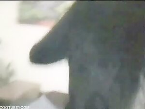 Discover the Limits of Bestiality in this Hardcore Video