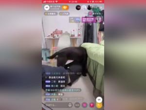 Unveil Dark Fantasies: A Chinese Woman with the Power of the Dog