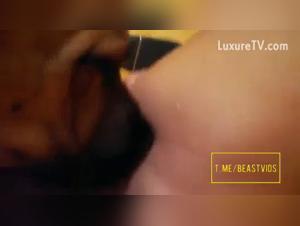Wild lips, animal impulses - Extreme experience