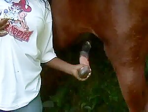 Extreme zoophilia video with a black woman and a horse