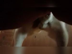 Wild Delights: When the Slut Kisses the Dog