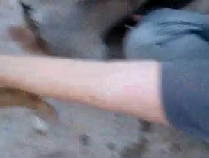 Part One: Wild Temptations