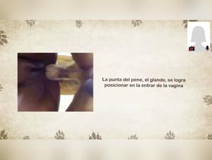 Knots, sesso e learnedo: esplorando passione animalesca