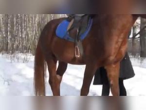 Explore the limits with Katya TeamRussia and her wild horse