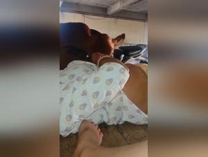 Soumission brute :  Un plaisir malsain de vache à femme