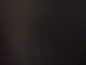 Canine Seducers and Indomitable Desires