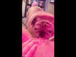 Découvrez le monde de la zoophilie avec cette vidéo de sexe avec chien