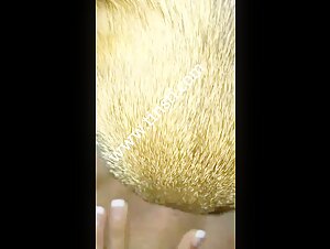 Sex with Dogs and Animals: A Forbidden Experience