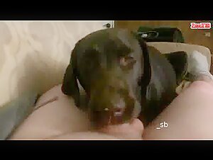 Bestiality sex video with dog