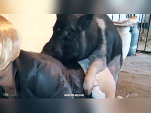 Los videos mas calientes de la web: putas y perros sexados