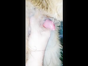 Discover the Forbidden World of Bestiality
