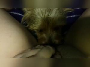 Explore the Limits of Desire: A Slut and Her Dog in a Steamy Exchange