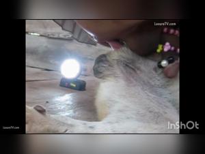 Exclusive XXX Videos - Raw passion and heightened desires