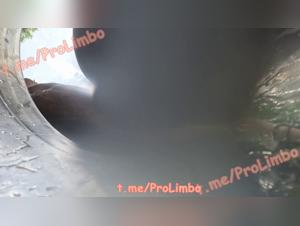 Raw high: Dog x Woman - Animal satisfaction guaranteed