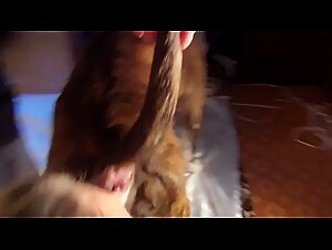 When Extreme Sex Involves Your Dog