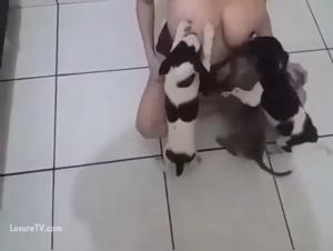 Brutal Zoophilia: Discovery of Feline Physiology and its Delights Sexpu