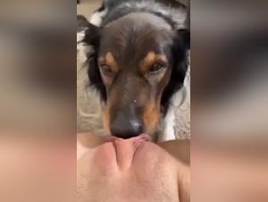 Intense Licking: Female Exploits Under Canine Domination