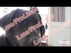 Video of extreme zoophilia: a woman submissive to her dog