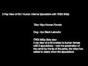 An Extreme and Exciting Experience