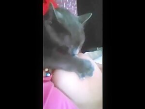 Video of Extreme Zoophilia