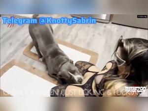 Sluts Exploited: The Dog Rules Supreme in this Zoosex Session