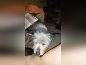 Limitless Erotic Experiences - Raw Satisfaction