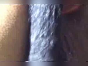 Dark Desires Satisfied: Explore the Fairy Brothel Where the Slut Surrenders to Her Dog