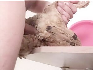 Video of Exciting Zoophilia