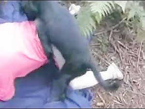 Discover the art of zoophilia in this dog sex video