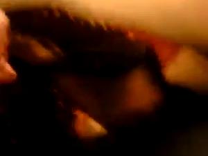 Unveil your darkest desires: Animal hardcore and forbidden sex