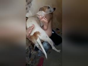 Abuso sexual de canin, adolescente hardcore amateur
