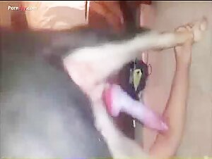 Discover Sex Videos with Dogs - Extreme Bestiality and Zoophilia