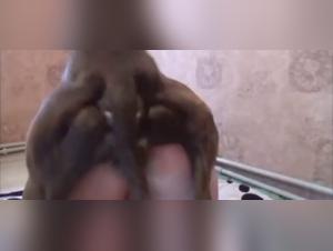 Cindyknine: Immersion in wild animal sex