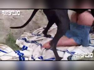 Feline Domination and Canine Urges