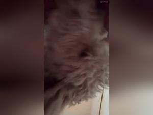 Wild impulses: dog and damn in a fetid orgy