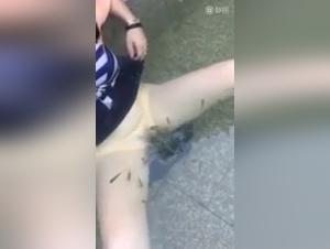 Obscure Exploration: Debauchery and Animal Flesh