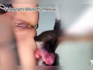 Canine brutality and ruthless submission