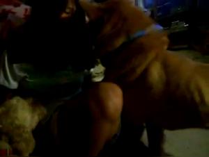 Blowjob aus Pappe: Hundevergnugen auf hochstem Niveau